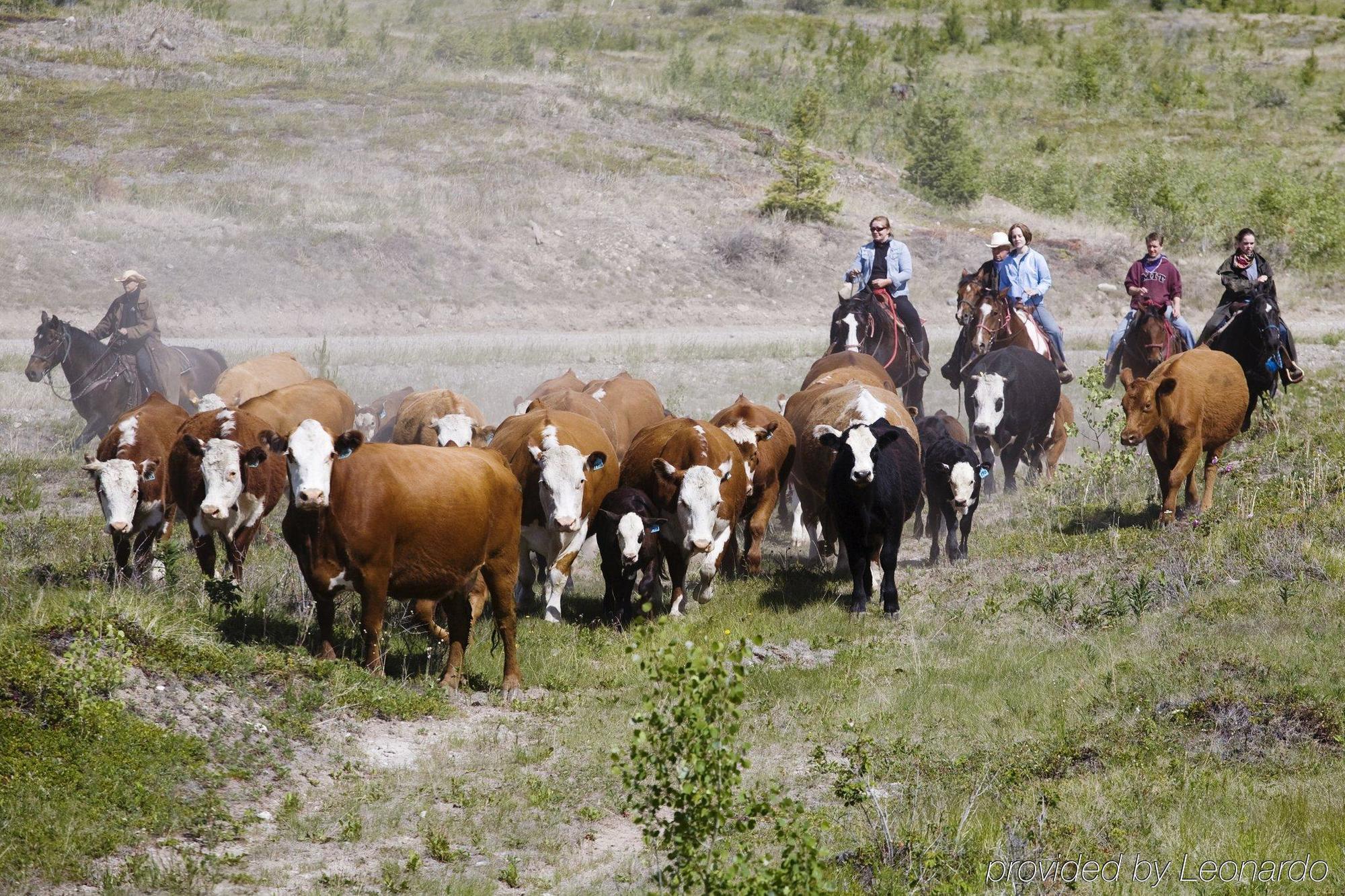 Echo Valley Ranch And Spa Clinton Kültér fotó